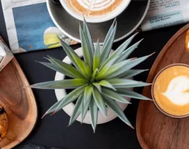 Utilisez votre carte Pluxee Lunch chez Do for Love pour leur nouveau coffee shop au Luxembourg
